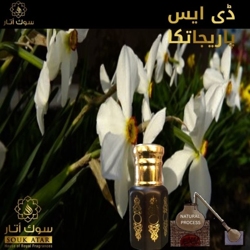 DS PARIJATAK | Souk Attar