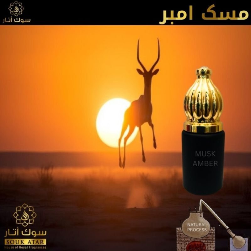 MUSK AMBER | Souk Attar