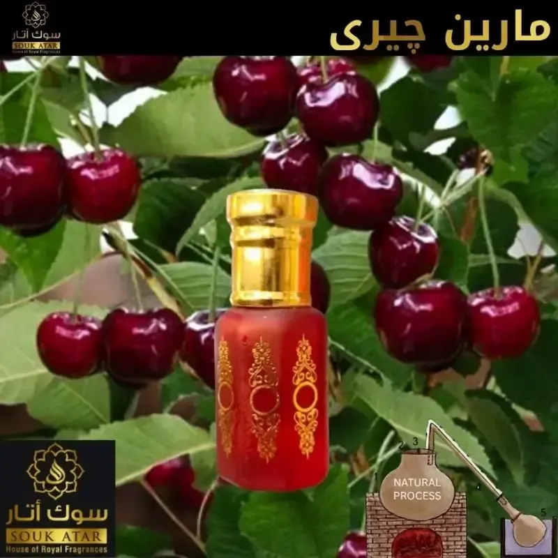 Marine Cheri Attar – Fresh Aquatic Non Alcoholic Perfume | Souk Attar